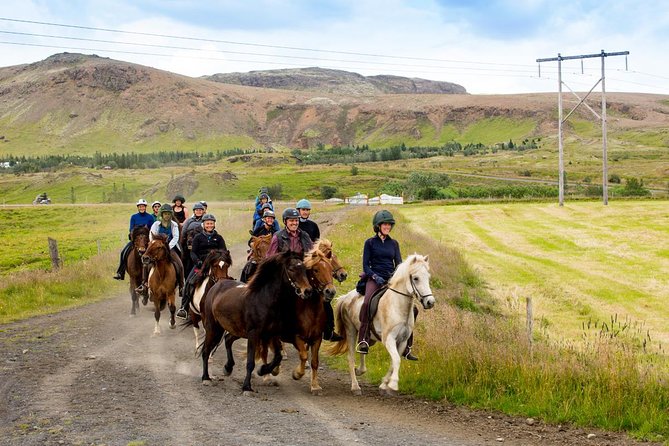 Icelandic Horse Riding and Whale Watching Cruise from Reykjavík - The Whale Cruise from Reykjavík’s Old Harbour: Faxaflói Bay and Marine-Life Spotting