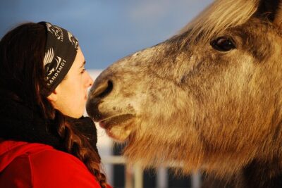 Icelandic Horse Riding and Whale Watching Tour from Reykjavik - Split groups and photo pauses: how the ride stays fun for mixed experience levels