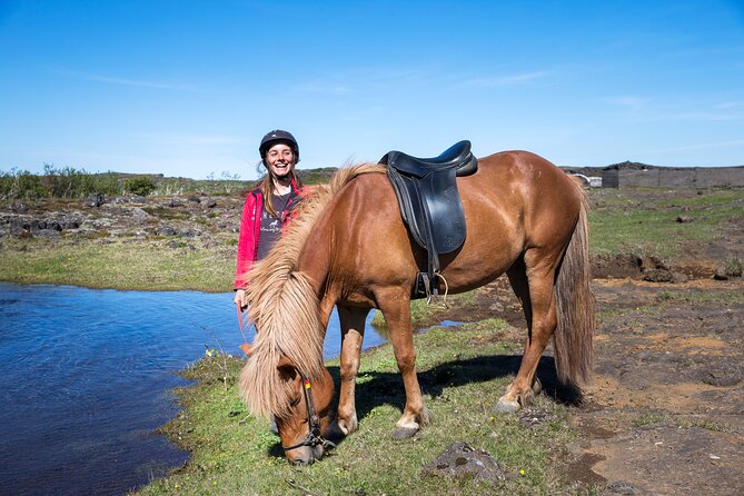 Icelandic Horse Riding and Whale Watching Tour from Reykjavik - What you can see in Faxaflói Bay: whales, porpoises, and dolphins