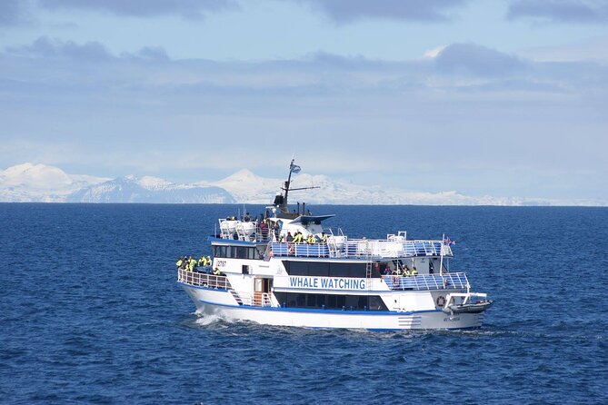 Icelandic Horse Riding and Whale Watching Tour from Reykjavik - Price and value: why $233.08 can work better than it looks