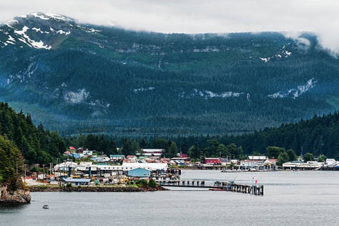 Icy Strait Shore Excursion: Whale Watching Adventure Tour - Comfort, snacks, and the details that keep the day smooth