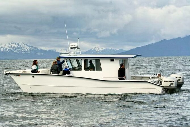 Icy Strait Whale & Wildlife Endeavor - Wildlife you can realistically aim for (and what makes it special)