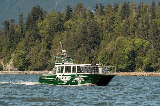 Intimate West Coast Whale Watching - Partly-Sheltered - Starting near Granville Island Public Market (and why that matters)