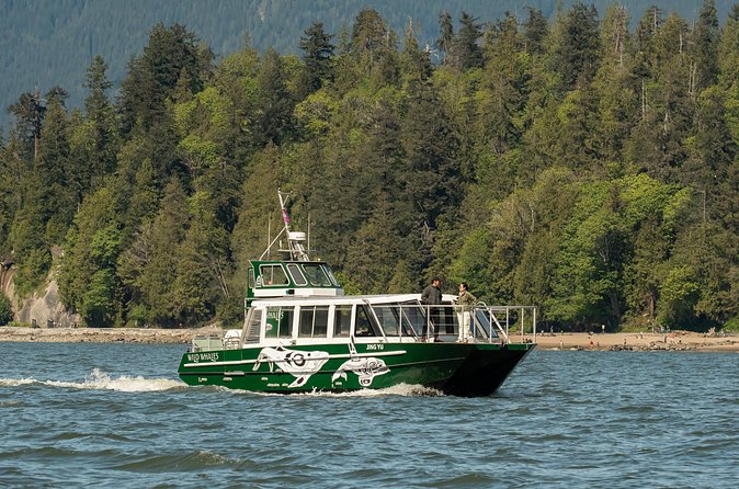 Intimate West Coast Whale Watching - Partly-Sheltered - Staying comfortable and getting the best viewing