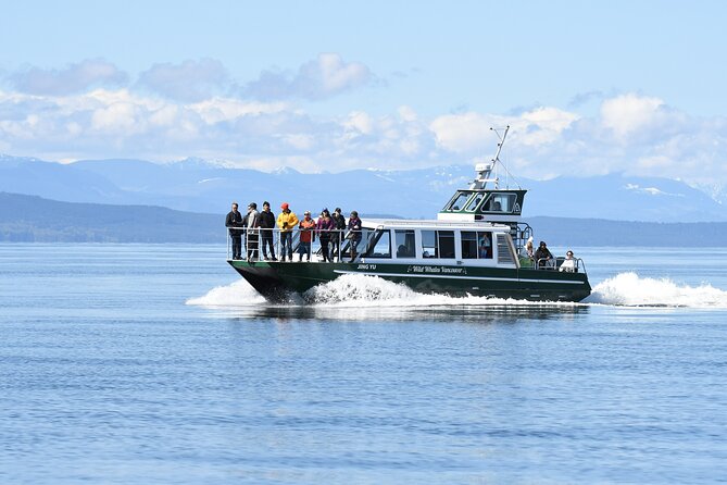 Intimate West Coast Whale Watching - Partly-Sheltered - Meeting at 1806 Mast Tower Ln: the simple logistics that keep you relaxed