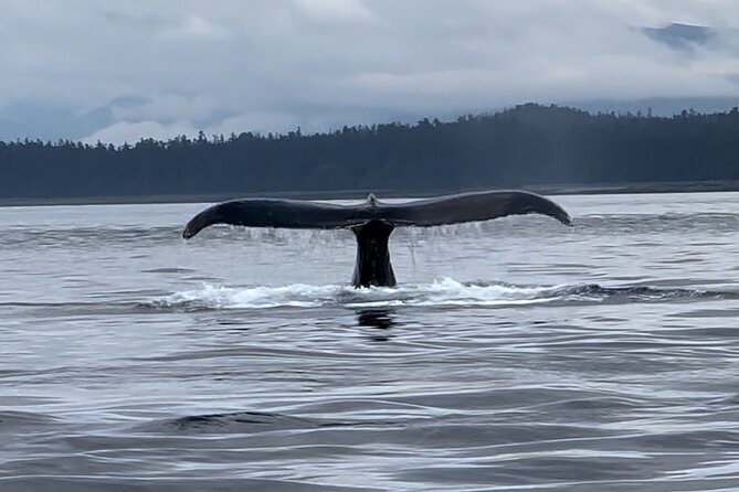 Juneau Jetski & Whale Adventure - Key Highlights You’ll Actually Notice