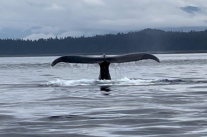 Juneau Jetski & Whale Adventure - The Rider Rules (Read This First, Then Relax)