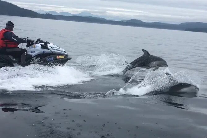 Juneau Jetski & Whale Adventure - Stop 2: Juneau by Water, with Douglas Island and Island Stops
