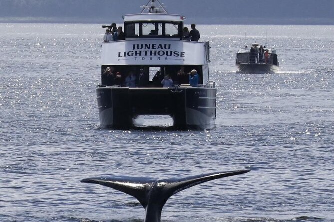 Juneau Lighthouse Tours - Whale watching & Lighthouse Combo - Cruise-ship pickup that keeps you on your vacation schedule