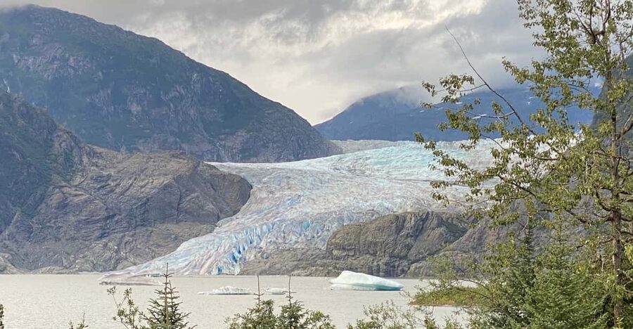 Juneau: Mendenhall Glacier and Whale Watching Tour - Quick reality check: what this 4-hour tour really covers