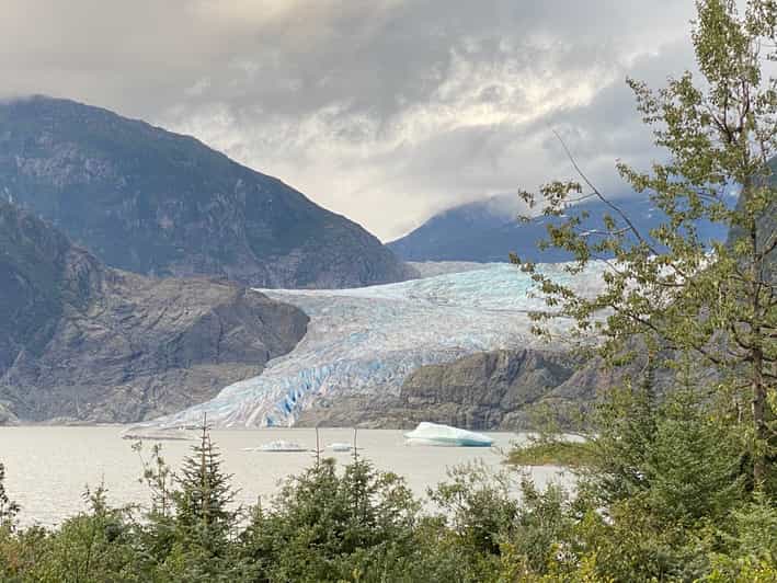 Juneau: Mendenhall Glacier and Whale Watching Tour - What you learn before the boat: using the Visitor Center info at sea