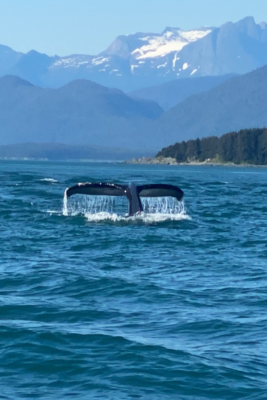 Juneau: Mendenhall Glacier and Whale Watching Tour - Getting to the tour: the Mt. Roberts Tramway meeting point
