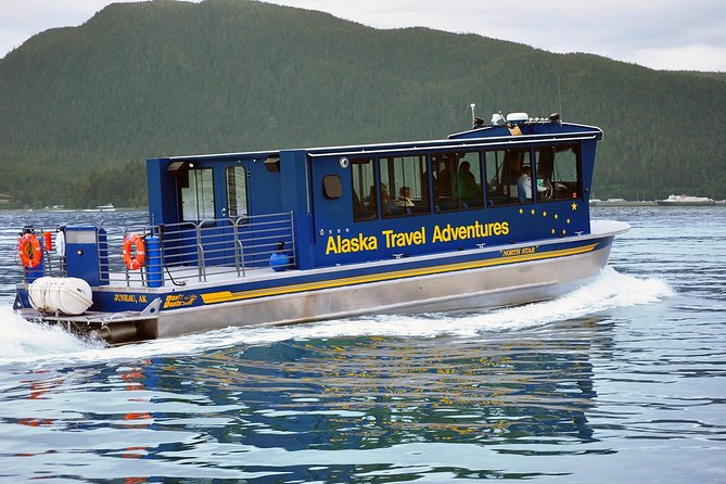 Juneau Whale Watching Adventure - Should You Book the Juneau Whale Watching Adventure?