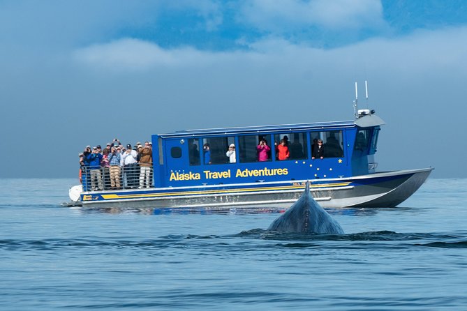 Juneau Whale Watching and Salmon Bake - Auke Bay whale watching: the hydrophone makes the day smarter