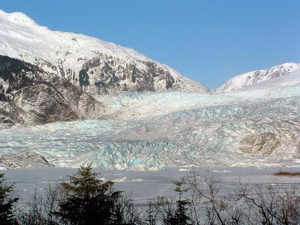 Juneau Wildlife Whale Watching & Mendenhall Glacier - Who This Tour Fits: Families, Cruise Day Planners, and Wildlife Fans