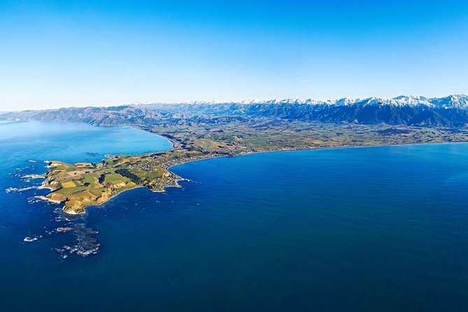 Kaikoura Helicopters Classic Whale Watch - From the Beachfront Helipad: What the 30-Minute Flight Really Means