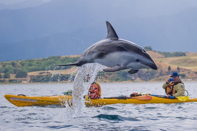 Kaikoura Helicopters Classic Whale Watch - Booking Smart: Weather Rules and How to Protect Your Schedule