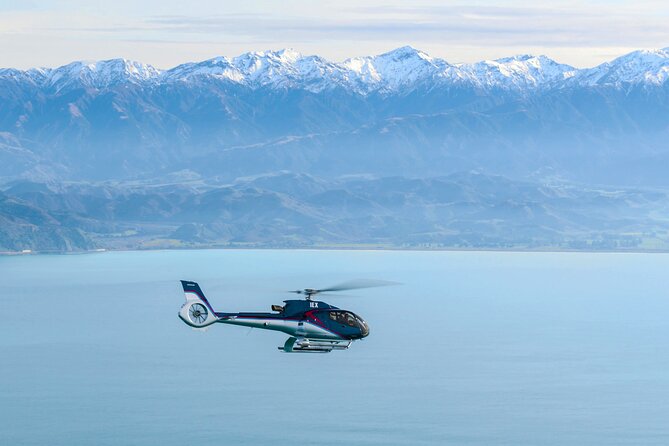 Kaikoura Helicopters Extended Whale Watch - Price and value: why $313 feels high, and why it can still make sense