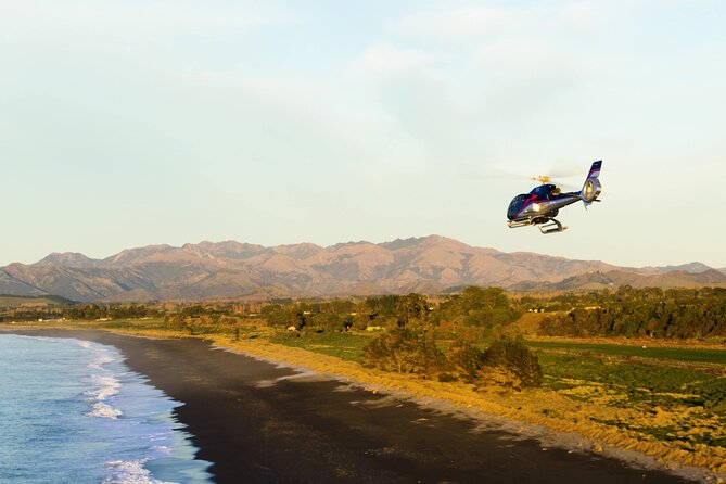 Kaikoura Helicopters Extended Whale Watch - Who should book this Kaikōura helicopter whale watch
