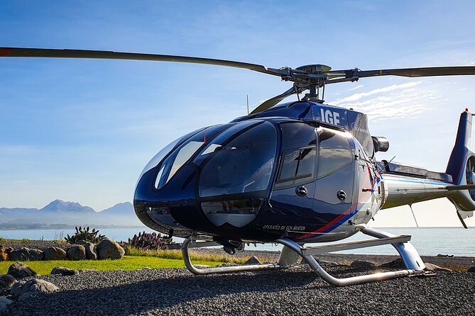 Kaikoura Helicopters Extended Whale Watch - Timing, weather, and the smartest way to plan your day