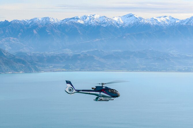 Kaikoura Helicopters Top n Tail Whale Watch flight - From Kaikōura’s beachfront helipad: what your departure feels like