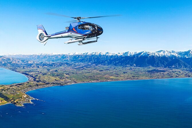 Kaikoura Helicopters Top n Tail Whale Watch flight - Who should book this flight, and who should think twice?