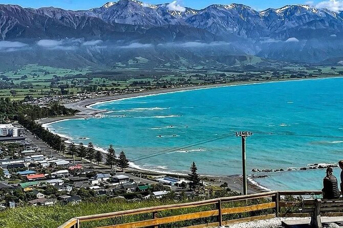 Kaikoura Private Whale Watching Day Trip from Christchurch - A long morning drive to sperm-whale territory