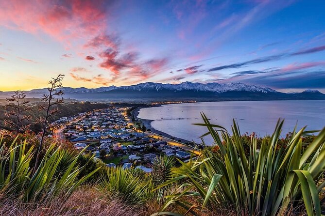 Kaikoura Private Whale Watching Day Trip from Christchurch - What the day feels like end-to-end