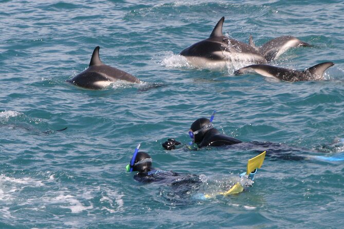 Kaikoura Whale and Dolphin Overnight Tour from Christchurch - Key things I’d prioritize on this tour