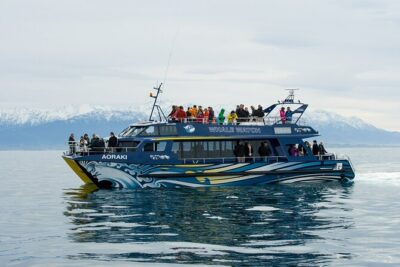 Kaikoura Whale and Dolphin Overnight Tour from Christchurch - Whale watching cruise: the part that depends on weather