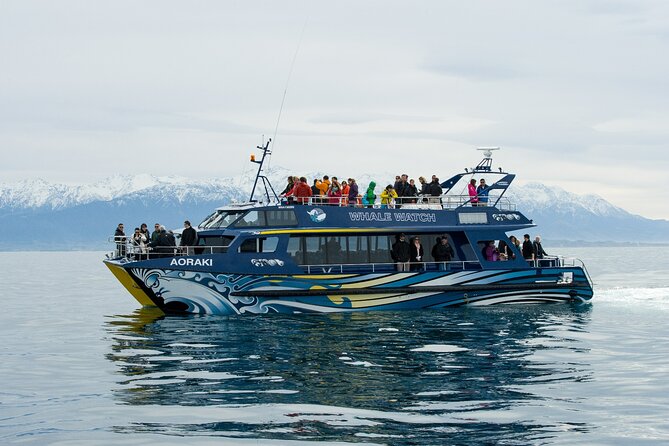 Kaikoura Whale and Dolphin Overnight Tour from Christchurch - Whale watching cruise: the part that depends on weather