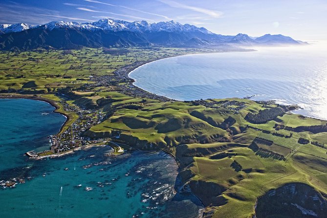 Kaikoura Whale Watch Day Tour from Christchurch - Key things that make this tour worth your time