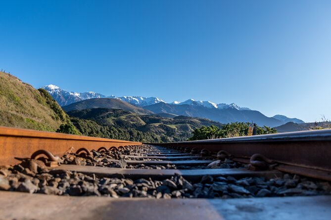Kaikoura Whale Watch Tour from Christchurch - Small Group - Kaikōura town stop: where the coastline does the talking