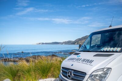 Kaikoura Whale Watch Tour from Christchurch - Small Group - Cheviot and Hundalee Hills: fur seals and quick legs