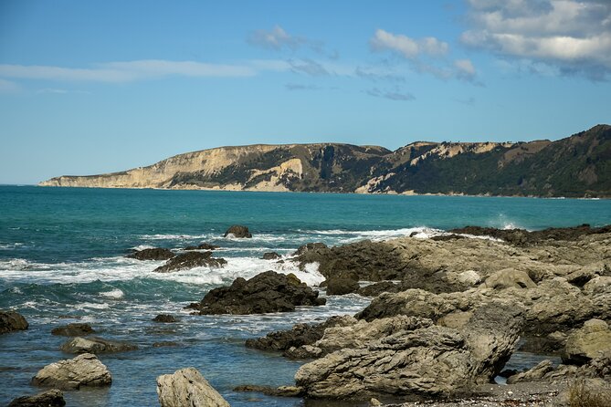 Kaikoura Whale Watch Tour from Christchurch - Small Group - Whale Watch Kaikōura: 4 hours on the water with naturalist guidance