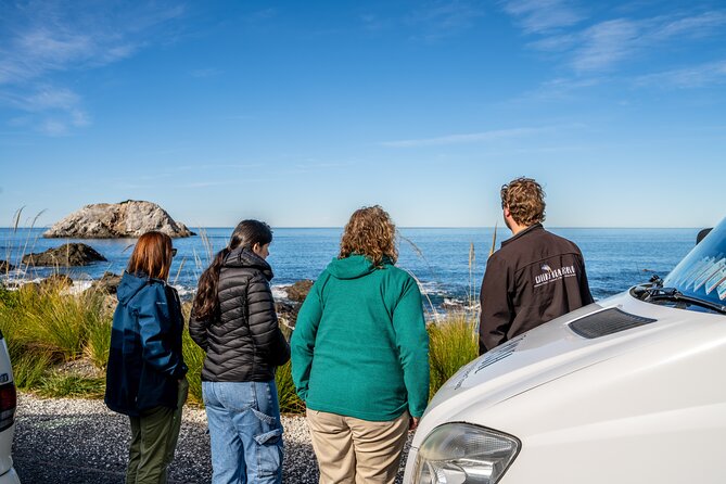 Kaikoura Whale Watch Tour from Christchurch - Small Group - Species sightings that really matter (and what to do with your time)