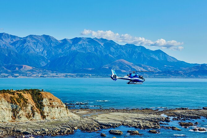 Kaikōura Whale Watching - 1hr 20min Ultimate Adventure - Key things that make this Kaikōura heli whale tour special
