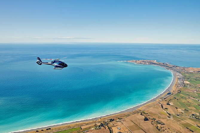 Kaikōura Whale Watching - 1hr 20min Ultimate Adventure - Kaikōura helicopter whale watching: why this format works