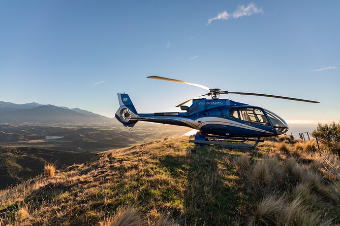 Kaikoura Whale Watching - 45 Minute Ocean Safari - Price and value: when $511.97 makes sense in Kaikōura