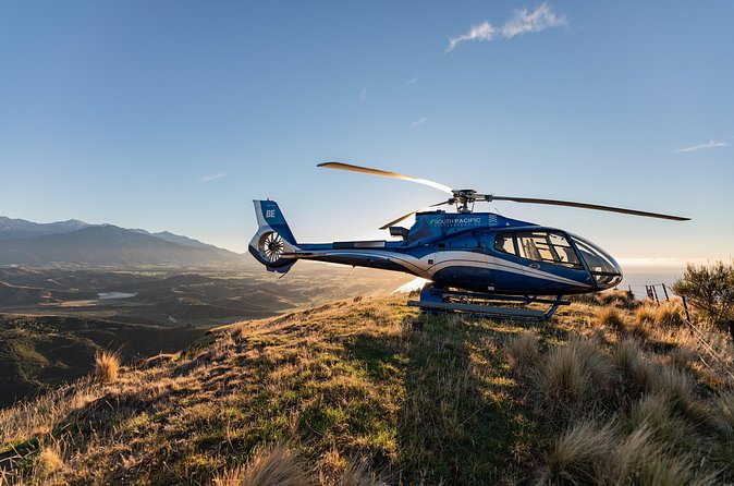 Kaikoura Whale Watching - 45 Minute Ocean Safari - What’s included (and what you should bring) for a smoother flight