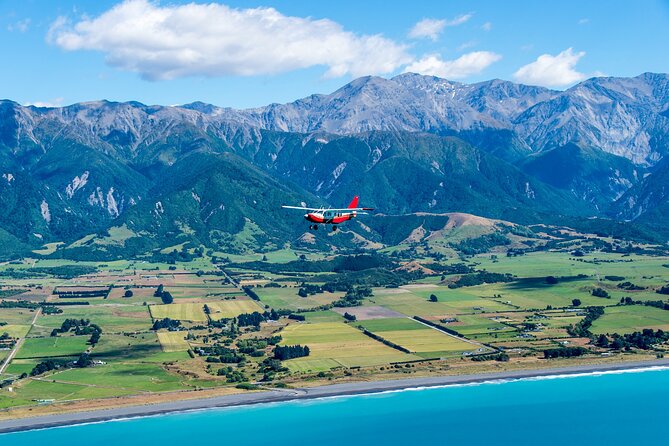 Kaikōura Whale Watching Scenic Flight (40 Minutes) - How pilots turn a 40-minute flight into real viewing time