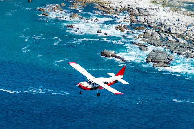 Kaikōura Whale Watching Scenic Flight (40 Minutes) - Mountains and coast: you’re not only flying for whales