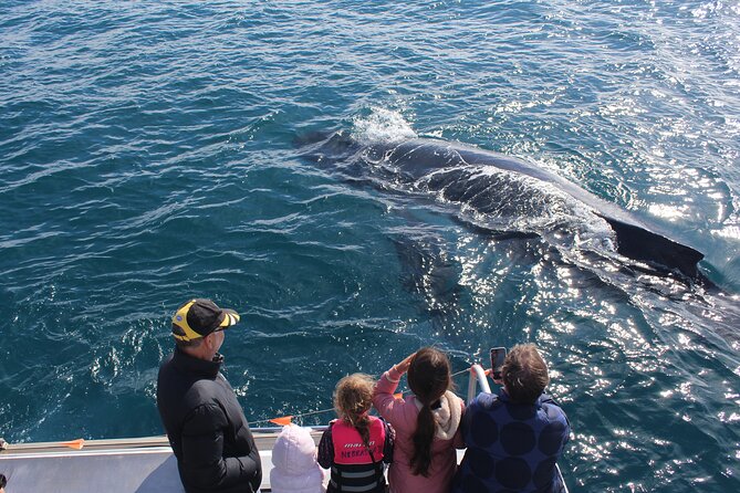 Kalbarri Whale Watching Tour - A 2.5-hour Kalbarri whale cruise on Nebraska II