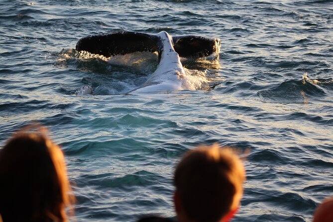 Kalbarri Whale Watching Tour - Getting there and planning your timing in Kalbarri