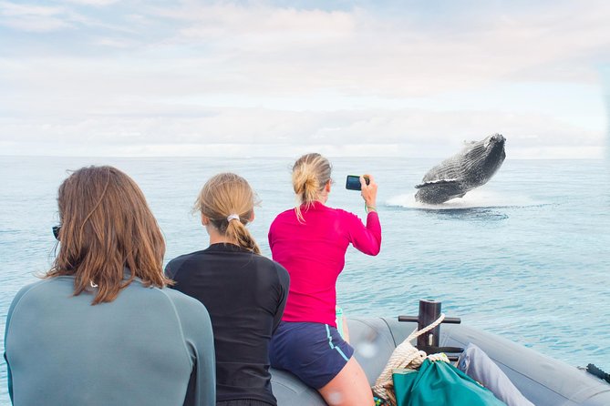 Kauai Raft Adventure: Whale Watch Discovery - Key things that make this whale watch work