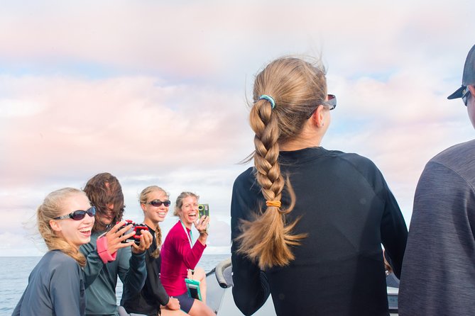 Kauai Raft Adventure: Whale Watch Discovery - How This 2-Hour Raft Whale Watch Runs From Kauai Sea Tours