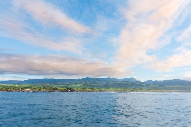 Kauai Raft Adventure: Whale Watch Discovery - Safety, Comfort Limits, and Who Should Skip This One