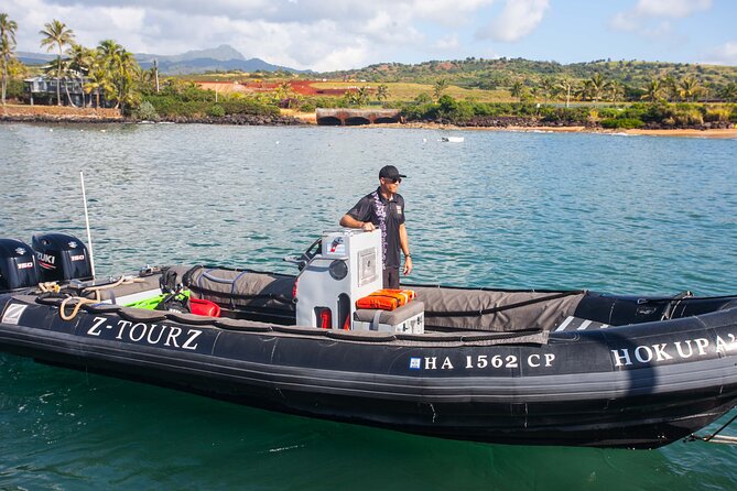 Kauai's South Side Whale and Dolphin Zodiac Boat Adventure - Why Kauai’s South Shore Is Built for Winter Whale Watching