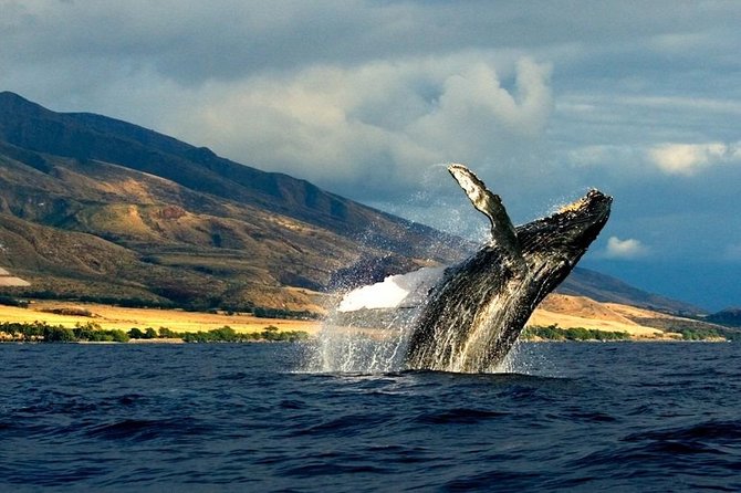 Kauai's South Side Whale and Dolphin Zodiac Boat Adventure - Stop 1 at Spouting Horn: A Coastal Landmark Moment
