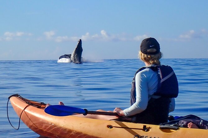 Kayak and Whale Watching Tour - Peak Season: When Humpbacks Are Most Likely to Show Up